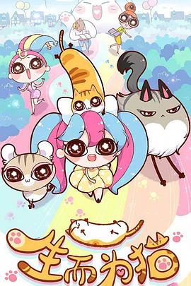 双鸭山seo优化公司